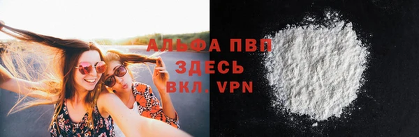 альфа пвп Медвежьегорск
