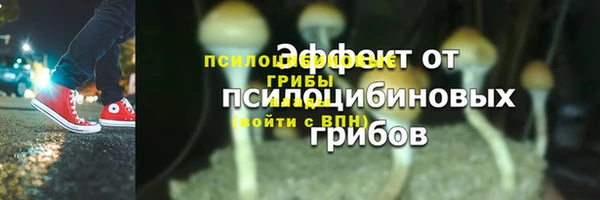 дмт Магадан