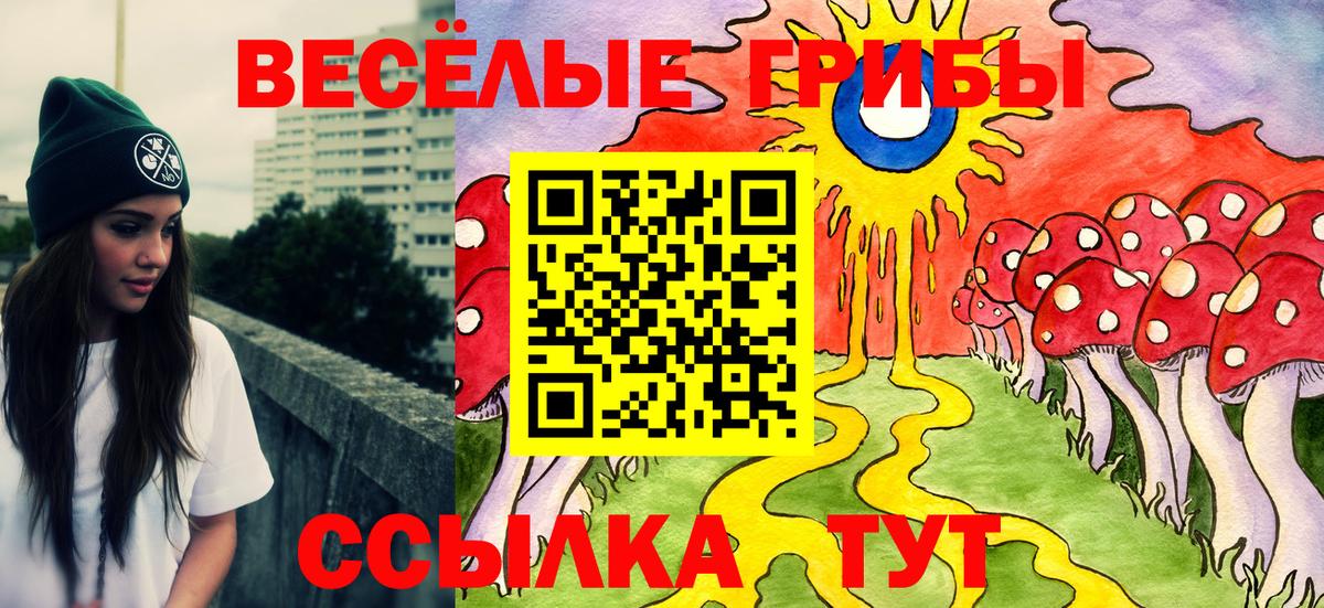 Саров  Галлюциногенные грибы Cubensis  Вход с VPN 
