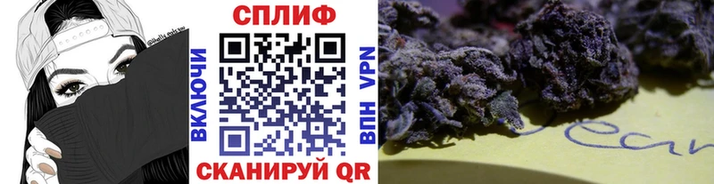 мориарти как зайти Саров МАРИХУАНА индика хочу
